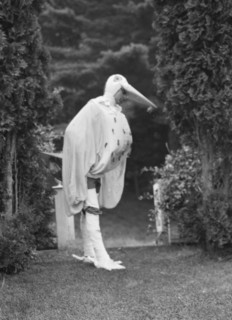 Scene from Sanctuary, A Bird Masque, by Percy MacKaye...Meriden Bird Club...New Hampshire, 1913. Creator: Arnold Genthe.