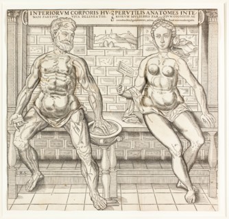 Interiorum corporis humani partium viva delineatio, from the second edition of the..., 1555/59. Creator: Monogrammist R. S..