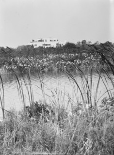 House and grounds of "The Shallows," property of Lucien Hamilton Tyng, Southampton, Long Island, 193 Creator: Arnold Genthe.