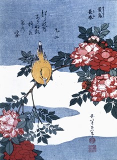 'Japanese Finch', 19th century. Creator: Hokusai, Katsushika (1760 -1849).