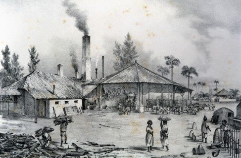 Trapiche de un ingenio during the grinding of sugar cane, 1840. Creator: Mialhe, Federico (1810-1881).