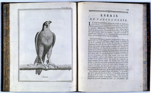 Pages of 'Traité de veneria et de chases', 1769. Creator: Unknown.