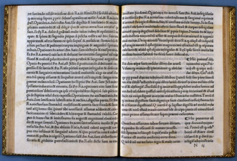 Pages of the work 'Regimen sanitatus cum expositione magistri Arnaldi di Vilanova..., 13th century. Creator: Arnau de Vilanova (1240-1311).