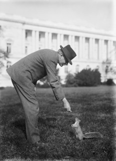 Thomas Riley Marshall, Vice President of The United States, 1914. Creator: Harris & Ewing.