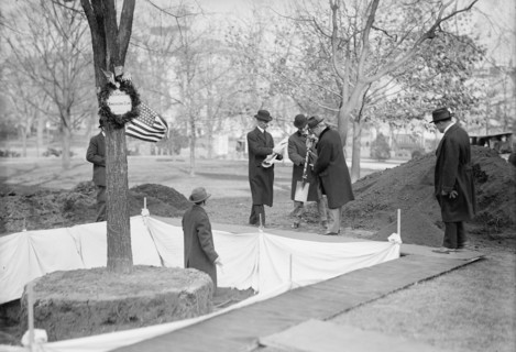 Owen, F.D. Public Buildings And Grounds Custodian of The Flags, Left, Planting Tree, Presid..., 1913 Creator: Harris & Ewing.