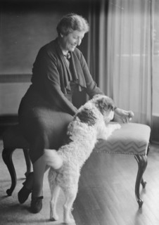 Alanson, Bertram, Mrs., with dog, portrait photograph, between 1927 and 1937. Creator: Arnold Genthe.