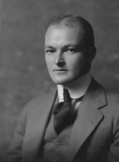 Johnson, S.H., Mr., portrait photograph, 1916. Creator: Arnold Genthe.