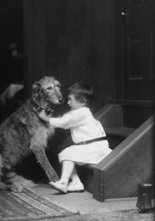 Plottner boy with dog, portrait photograph, 1907 Oct. 16. Creator: Arnold Genthe.