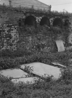 St. Louis Cemetery, New Orleans, between 1920 and 1926. Creator: Arnold Genthe.