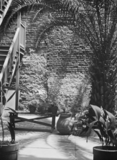Palm courtyard, New Orleans, between 1920 and 1926. Creator: Arnold Genthe.