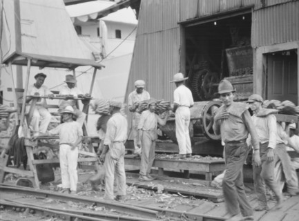 Unloading bananas, New Orleans, between 1920 and 1926. Creator: Arnold Genthe.