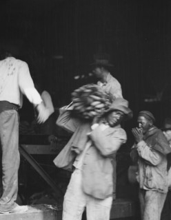 Unloading bananas, New Orleans, between 1920 and 1926. Creator: Arnold Genthe.