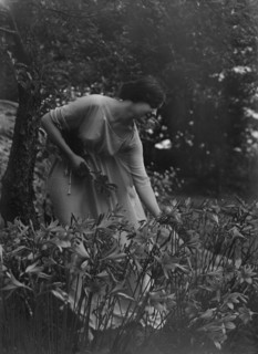 Beyer, Hilda, Miss, picking flowers in a garden, 1915 Apr. 26. Creator: Arnold Genthe.
