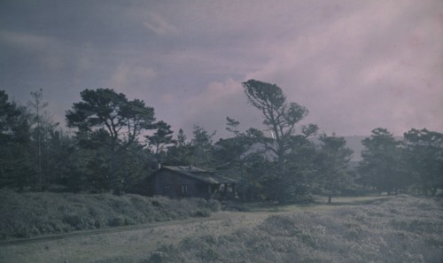 Arnold Genthe's bungalow in Carmel, California, between 1906 and 1911. Creator: Arnold Genthe.