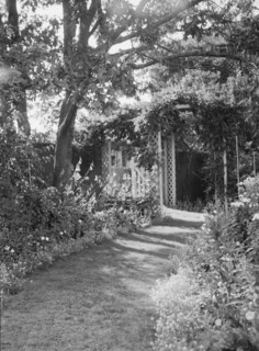 Herter, Albert, garden, between 1932 and 1942. Creator: Arnold Genthe.