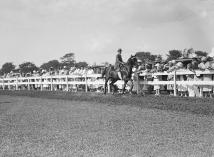East Hampton horse show, 1932. Creator: Arnold Genthe.