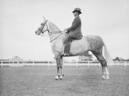 Fletcher, Mr., on a horse, 1933 July. Creator: Arnold Genthe.