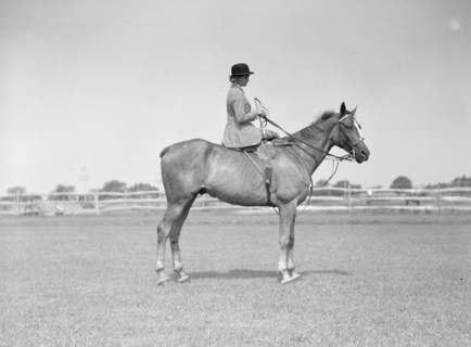 Horse show, East Hampton, Long Island., between 1933 and 1942. Creator: Arnold Genthe.