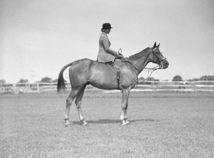 Schey, Theresa, Miss, on horse, between 1911 and 1942. Creator: Arnold Genthe.