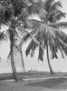 Travel views of Cuba and Guatemala, between 1899 and 1926. Creator: Arnold Genthe.