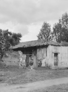 Travel views of Cuba and Guatemala, between 1899 and 1926. Creator: Arnold Genthe.