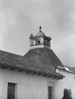 Travel views of Cuba and Guatemala, between 1899 and 1926. Creator: Arnold Genthe.