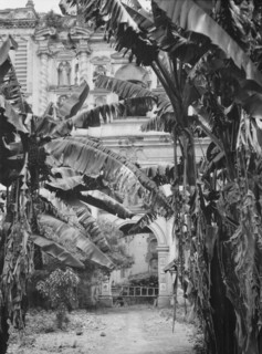 Travel views of Cuba and Guatemala, between 1899 and 1926. Creator: Arnold Genthe.