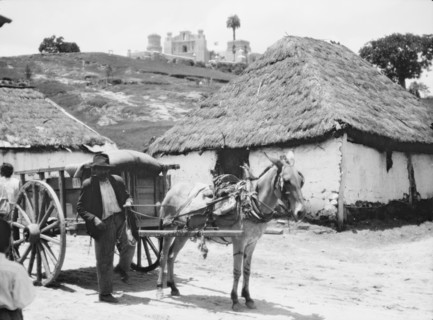 Travel views of Cuba and Guatemala, between 1899 and 1926. Creator: Arnold Genthe.