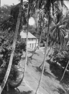 Travel views of Cuba and Guatemala, between 1899 and 1926. Creator: Arnold Genthe.