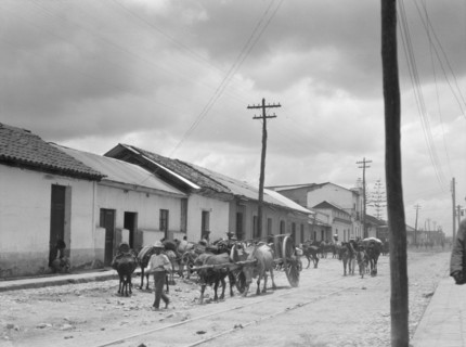 Travel views of Cuba and Guatemala, between 1899 and 1926. Creator: Arnold Genthe.