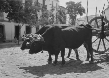 Travel views of Europe, between 1904 and 1938. Creator: Arnold Genthe.