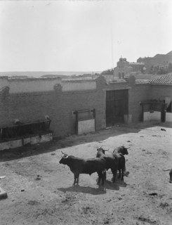 Travel views of Europe, between 1904 and 1938. Creator: Arnold Genthe.