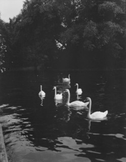 Travel views of Europe, between 1904 and 1938. Creator: Arnold Genthe.