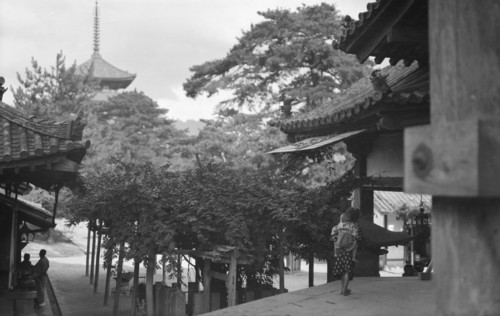 Travel views of Japan and Korea, 1908. Creator: Arnold Genthe.