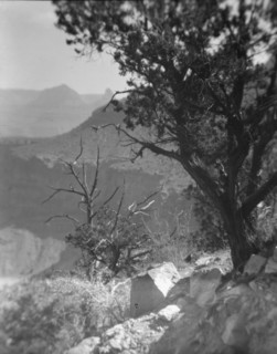 Grand Canyon, Arizona, between 1899 and 1928. Creator: Arnold Genthe.