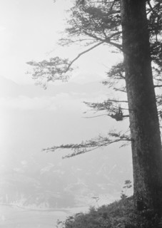 Travel views of Japan and Korea, 1908. Creator: Arnold Genthe.