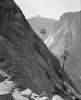 Travel views of Yosemite National Park, between 1903 and 1906. Creator: Arnold Genthe.