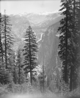 Travel views of Yosemite National Park, between 1903 and 1906. Creator: Arnold Genthe.