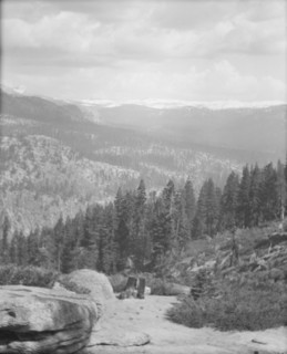 Travel views of Yosemite National Park, between 1903 and 1906. Creator: Arnold Genthe.