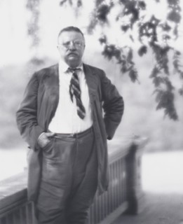 Portrait photograph of Theodore Roosevelt, 1916 Sept. 8. Creator: Arnold Genthe.