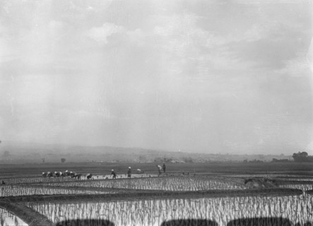 Travel views of Japan and Korea, 1908. Creator: Arnold Genthe.