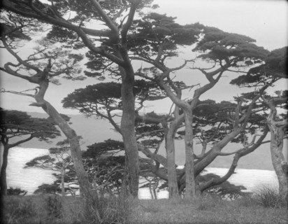 Travel views of Japan and Korea, 1908. Creator: Arnold Genthe.