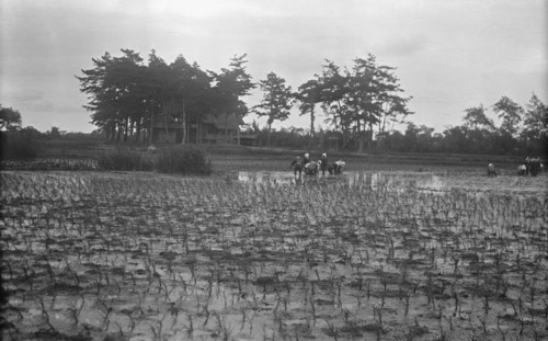 Travel views of Japan and Korea, 1908. Creator: Arnold Genthe.