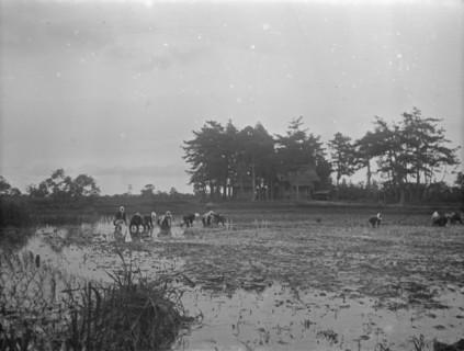 Travel views of Japan and Korea, 1908. Creator: Arnold Genthe.