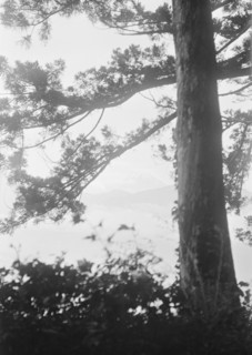 Travel views of Japan and Korea, 1908. Creator: Arnold Genthe.