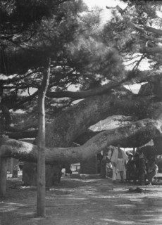 Travel views of Japan and Korea, 1908. Creator: Arnold Genthe.