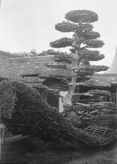 Travel views of Japan and Korea, 1908. Creator: Arnold Genthe.