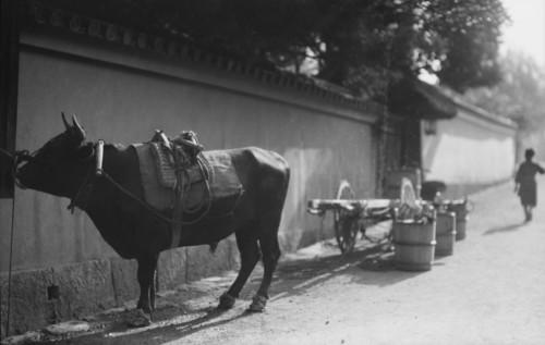 Travel views of Japan and Korea, 1908. Creator: Arnold Genthe.