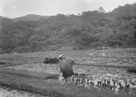 Travel views of Japan and Korea, 1908. Creator: Arnold Genthe.