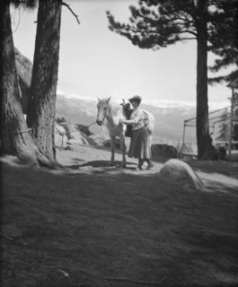 Travel views of Yosemite National Park, between 1903 and 1906. Creator: Arnold Genthe.